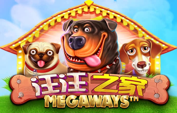 K体育app下载安装